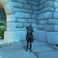 Penthesilea transmog