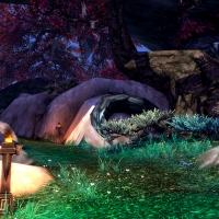 A Shado-Pan Pathway